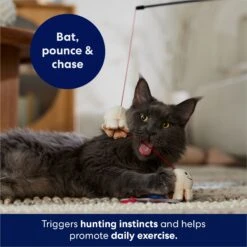 Frisco Zoomies & Chill Popcorn Teaser Wand Cat Toy With Catnip -Pet Supplies Store 241713 PT5. AC SS1800 V1691785246