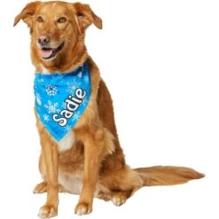 Frisco Blue Snowflakes Personalized Dog & Cat Bandana 16 Frisco Blue Snowflakes Personalized Dog & Cat Bandana -Pet Supplies Store 242803 PT6. AC SS1800 V1618511278
