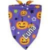 Frisco Halloween Pumpkins Personalized Dog & Cat Bandana -Pet Supplies Store 242815 MAIN. AC SS1800 V1701983007