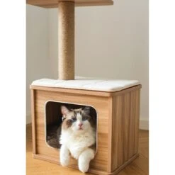 Catry 29.7-in Modern Jute Cat Tree & Condo 14 Catry 29.7-in Modern Jute Cat Tree & Condo -Pet Supplies Store 244330 PT3. AC SS1800 V1637108547