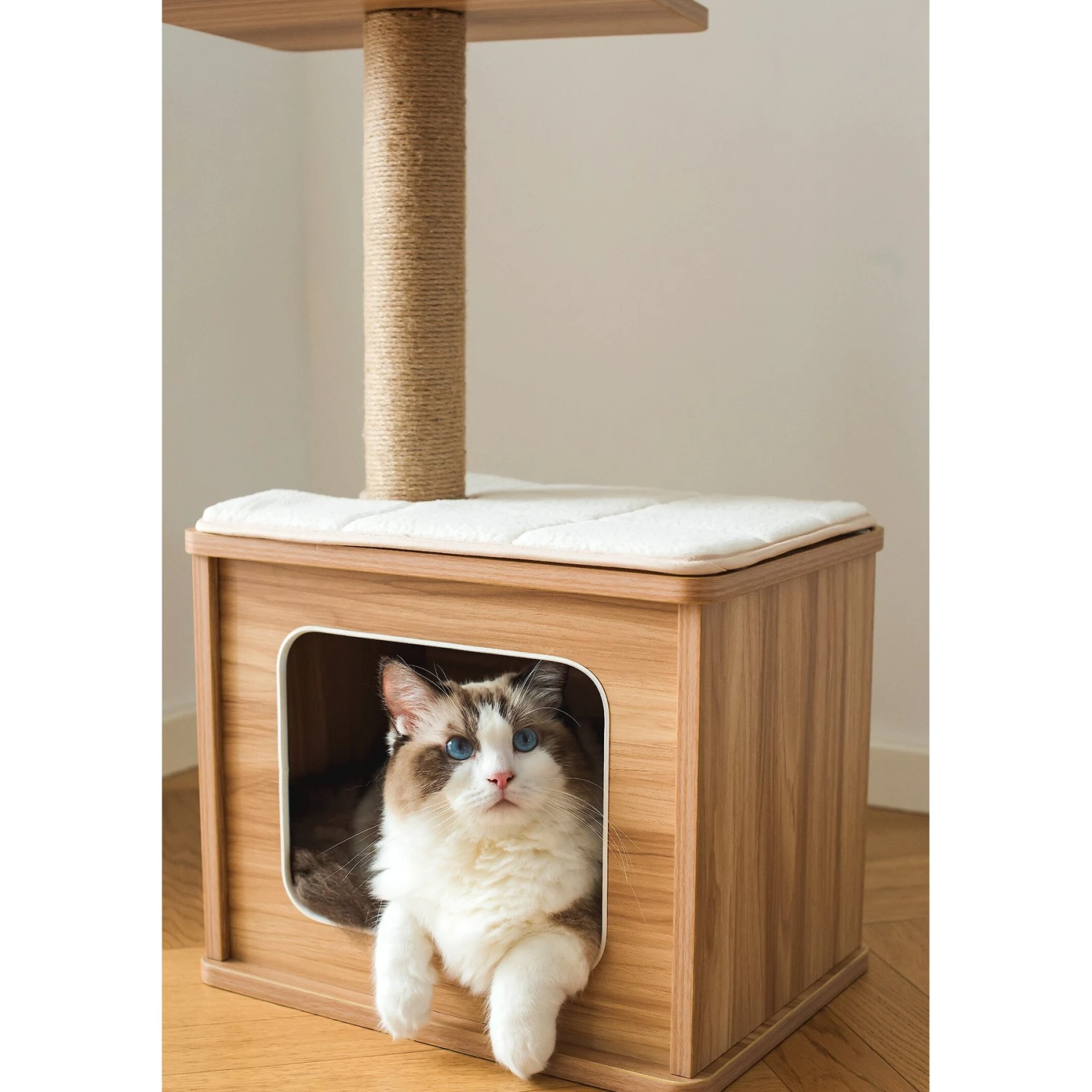 Catry 29.7-in Modern Jute Cat Tree & Condo 6 Catry 29.7-in Modern Jute Cat Tree & Condo - Image 4