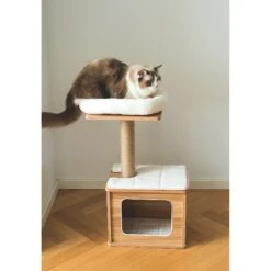 Catry 29.7-in Modern Jute Cat Tree & Condo 15 Catry 29.7-in Modern Jute Cat Tree & Condo -Pet Supplies Store 244330 PT4. AC SS1800 V1637107947