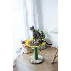 Catry Sunflower 23.2-in Sisal Cat Scratching Post With Toy -Pet Supplies Store 244332 PT4. AC SS1800 V1595018510