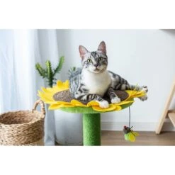 Catry Sunflower 23.2-in Sisal Cat Scratching Post With Toy -Pet Supplies Store 244332 PT5. AC SS1800 V1595019083