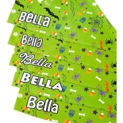 Frisco Halloween Boo! Personalized Dog & Cat Bandana -Pet Supplies Store 244583 PT4. AC SS1800 V1618508254