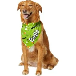 Frisco Halloween Boo! Personalized Dog & Cat Bandana -Pet Supplies Store 244583 PT6. AC SS1800 V1618510307