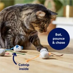 Frisco Mice Plush Cat Toy With Catnip 8 Frisco Mice Plush Cat Toy With Catnip -Pet Supplies Store 245899 PT2. AC SS1800 V1678723852