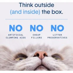 Boxiecat Lightweight Air Fresh & Clean Scented Clumping Cat Litter 12 Boxiecat Lightweight Air Fresh & Clean Scented Clumping Cat Litter -Pet Supplies Store 248208 PT4. AC SS1800 V1643997406
