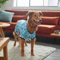 Frisco Happy Shark Dog & Cat Jersey PJs 13 Frisco Happy Shark Dog & Cat Jersey PJs -Pet Supplies Store 249122 PT7. AC SS1800 V1614276183