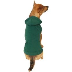 Frisco Dog & Cat Basic Hoodie 11 Frisco Dog & Cat Basic Hoodie -Pet Supplies Store 249154 PT2. AC SS1800 V1633073480