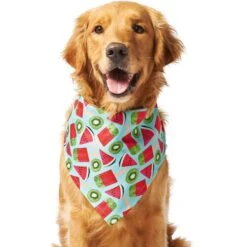 Frisco Fruity Summer Dog & Cat Bandana 11 Frisco Fruity Summer Dog & Cat Bandana -Pet Supplies Store 249204 PT2. AC SS1800 V1637644629
