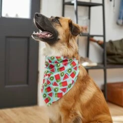 Frisco Fruity Summer Dog & Cat Bandana 13 Frisco Fruity Summer Dog & Cat Bandana -Pet Supplies Store 249204 PT4. AC SS1800 V1637668676