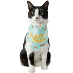 Frisco Brunch Please Dog & Cat Bandana -Pet Supplies Store 249207 PT2. AC SS1800 V1696597732