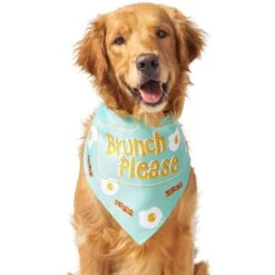 Frisco Brunch Please Dog & Cat Bandana -Pet Supplies Store 249207 PT3. AC SS1800 V1696597730