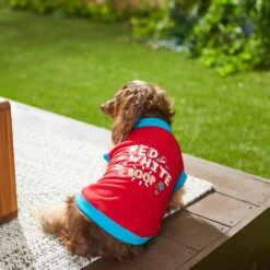 Frisco Red, White & Boop Dog & Cat T-Shirt 15 Frisco Red, White & Boop Dog & Cat T-Shirt -Pet Supplies Store 249242 PT7. AC SS1800 V1614368539