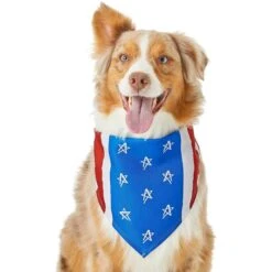 Frisco Stars & Stripes Dog & Cat Bandana -Pet Supplies Store 249329 PT2. AC SS1800 V1632418569