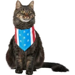 Frisco Stars & Stripes Dog & Cat Bandana -Pet Supplies Store 249329 PT3. AC SS1800 V1632422490