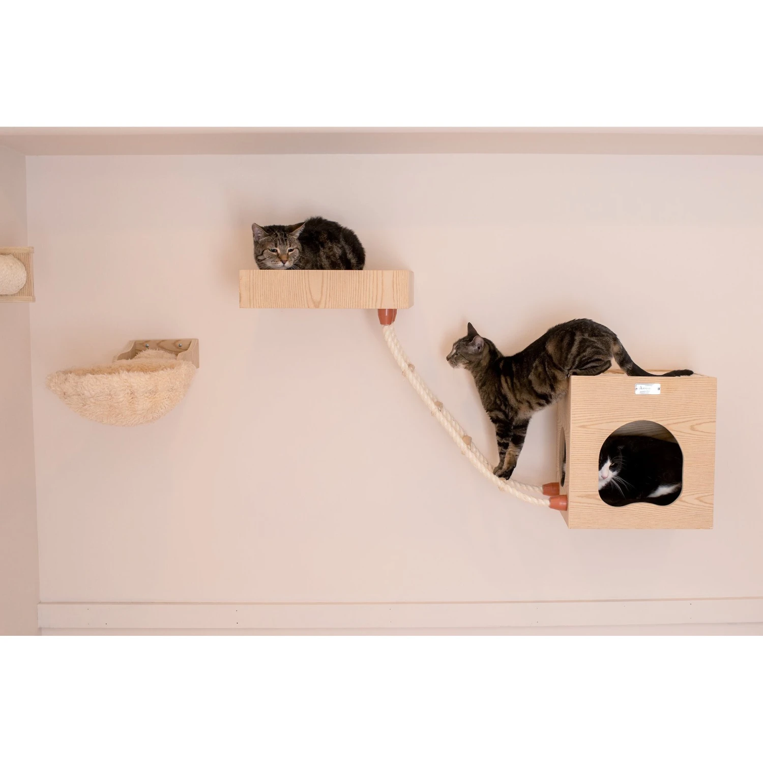 Armarkat Real Wood Cat Condo, Perch & Perch 4 Armarkat Real Wood Cat Condo, Perch & Perch - Image 2