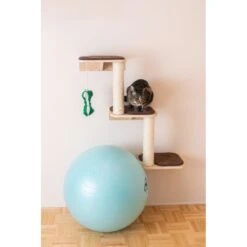 Armarkat Real Wood Cat Step -Pet Supplies Store 251434 PT4. AC SS1800 V1599270991