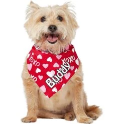 Frisco XOXO Hearts Personalized Dog & Cat Bandana 17 Frisco XOXO Hearts Personalized Dog & Cat Bandana -Pet Supplies Store 254203 PT6. AC SS1800 V1632427913