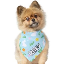 Frisco Easter Bunny Personalized Dog & Cat Bandana -Pet Supplies Store 254211 PT6. AC SS1800 V1618509425