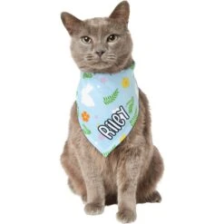 Frisco Easter Bunny Personalized Dog & Cat Bandana -Pet Supplies Store 254211 PT7. AC SS1800 V1618510982