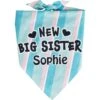 Frisco Big Sister Personalized Dog & Cat Bandana 2 Frisco Big Sister Personalized Dog & Cat Bandana -Pet Supplies Store 254235 MAIN. AC SS1800 V1619559736