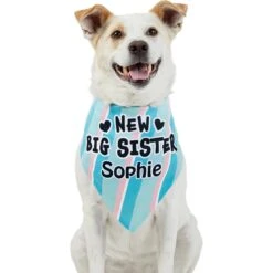 Frisco Big Sister Personalized Dog & Cat Bandana 17 Frisco Big Sister Personalized Dog & Cat Bandana -Pet Supplies Store 254235 PT6. AC SS1800 V1619558258