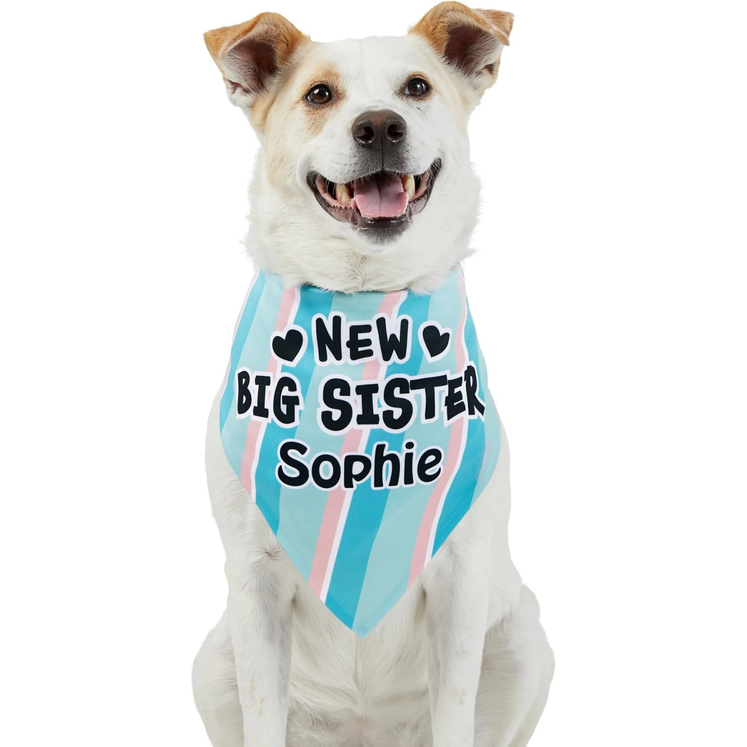 Frisco Big Sister Personalized Dog & Cat Bandana 9 Frisco Big Sister Personalized Dog & Cat Bandana - Image 7