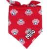 Frisco Patriotic Paws Personalized Dog & Cat Bandana -Pet Supplies Store 254243 MAIN. AC SS1800 V1619560378
