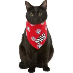 Frisco Patriotic Paws Personalized Dog & Cat Bandana 18 Frisco Patriotic Paws Personalized Dog & Cat Bandana -Pet Supplies Store 254243 PT7. AC SS1800 V1619559130