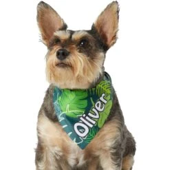 Frisco Tropical Palms Personalized Dog & Cat Bandana 17 Frisco Tropical Palms Personalized Dog & Cat Bandana -Pet Supplies Store 254259 PT6. AC SS1800 V1632425201