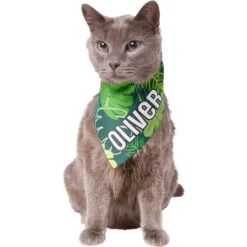 Frisco Tropical Palms Personalized Dog & Cat Bandana 18 Frisco Tropical Palms Personalized Dog & Cat Bandana -Pet Supplies Store 254259 PT7. AC SS1800 V1632418584