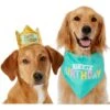Frisco Happy Birthday Dog & Cat Crown & Frisco Dog & Cat Birthday Bandana -Pet Supplies Store 255523 MAIN. AC SS1800 V1603716093