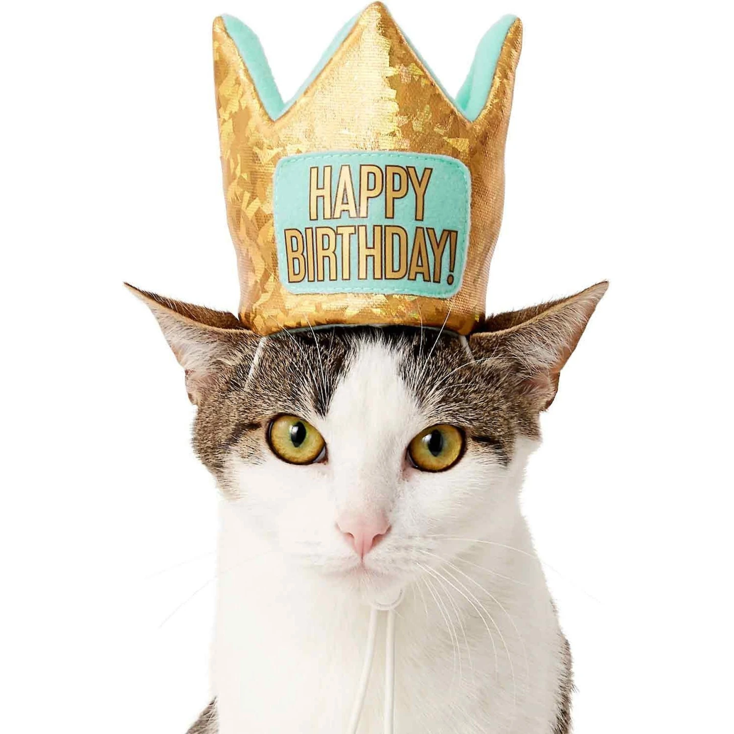 Frisco Happy Birthday Dog & Cat Crown & Frisco Dog & Cat Birthday Bandana 5 Frisco Happy Birthday Dog & Cat Crown & Frisco Dog & Cat Birthday Bandana - Image 3