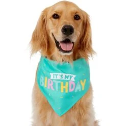 Frisco Happy Birthday Dog & Cat Crown & Frisco Dog & Cat Birthday Bandana 10 Frisco Happy Birthday Dog & Cat Crown & Frisco Dog & Cat Birthday Bandana -Pet Supplies Store 255523 PT3. AC SS1800 V1603716114