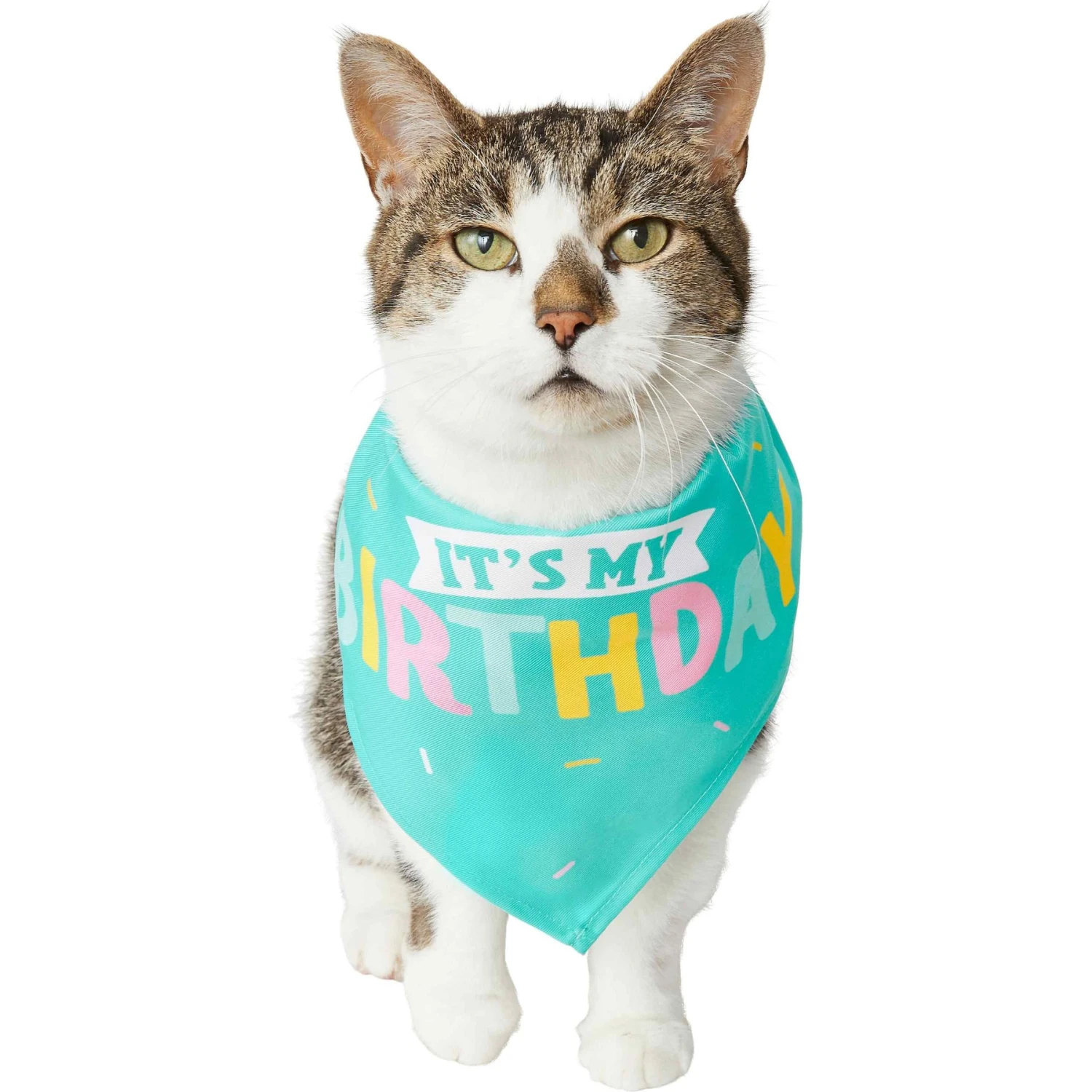 Frisco Happy Birthday Dog & Cat Crown & Frisco Dog & Cat Birthday Bandana 7 Frisco Happy Birthday Dog & Cat Crown & Frisco Dog & Cat Birthday Bandana - Image 5