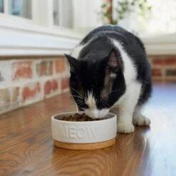 Frisco Round Meow Non-skid Ceramic Cat Bowl With Wood Base 10 Frisco Round Meow Non-skid Ceramic Cat Bowl With Wood Base -Pet Supplies Store 256078 PT2. AC SS1800 V1615313612