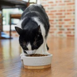 Frisco Oval Meow Non-skid Ceramic Cat Bowl With Wood Base 10 Frisco Oval Meow Non-skid Ceramic Cat Bowl With Wood Base -Pet Supplies Store 256080 PT2. AC SS1800 V1615310782