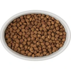 Frisco Oval Meow Non-skid Ceramic Cat Bowl With Wood Base 13 Frisco Oval Meow Non-skid Ceramic Cat Bowl With Wood Base -Pet Supplies Store 256080 PT5. AC SS1800 V1615312016