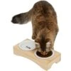 Frisco Double Elevated Cat Bowl With Wood Stand -Pet Supplies Store 256082 MAIN. AC SS1800 V1616509034