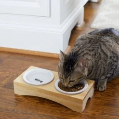 Frisco Double Elevated Cat Bowl With Wood Stand -Pet Supplies Store 256082 PT2. AC SS1800 V1615312650