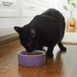 Frisco Kaleidoscope Pattern Non-skid Ceramic Dog & Cat Bowl -Pet Supplies Store 256090 PT2. AC SS1800 V1615311092