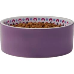 Frisco Kaleidoscope Pattern Non-skid Ceramic Dog & Cat Bowl -Pet Supplies Store 256090 PT3. AC SS1800 V1615311698