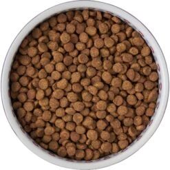 Frisco Kaleidoscope Pattern Non-skid Ceramic Dog & Cat Bowl -Pet Supplies Store 256090 PT5. AC SS1800 V1615312887