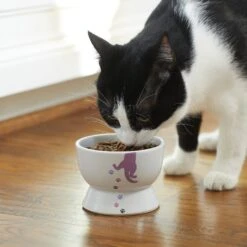 Frisco Cat Print Non-skid Elevated Ceramic Cat Bowl, Short -Pet Supplies Store 256096 PT2. AC SS1800 V1616522571