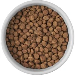 Frisco Cat Print Non-skid Elevated Ceramic Cat Bowl, Short -Pet Supplies Store 256096 PT4. AC SS1800 V1616522576