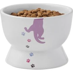 Frisco Cat Print Non-skid Elevated Ceramic Cat Bowl, Short -Pet Supplies Store 256096 PT5. AC SS1800 V1616522496