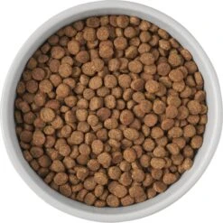 Frisco Cat Print Non-Skid Elevated Ceramic Cat Bowl, Tall -Pet Supplies Store 256099 PT4. AC SS1800 V1616522538