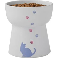 Frisco Cat Print Non-Skid Elevated Ceramic Cat Bowl, Tall -Pet Supplies Store 256099 PT5. AC SS1800 V1616522652